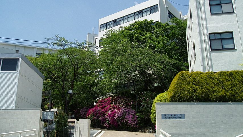 神戸薬科大学 school banner