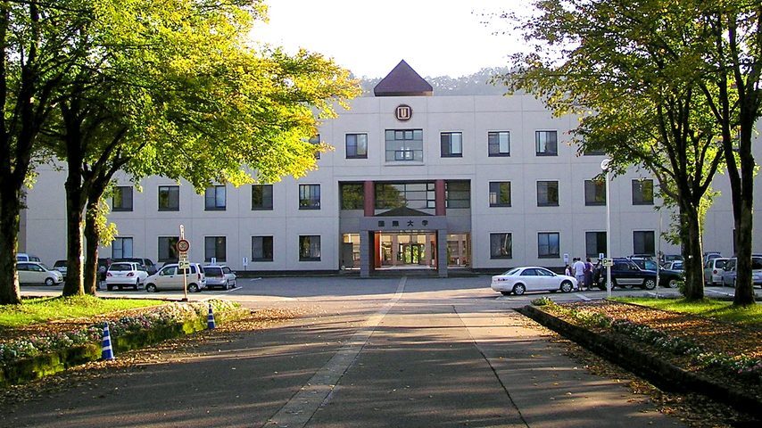 国際大学 school banner
