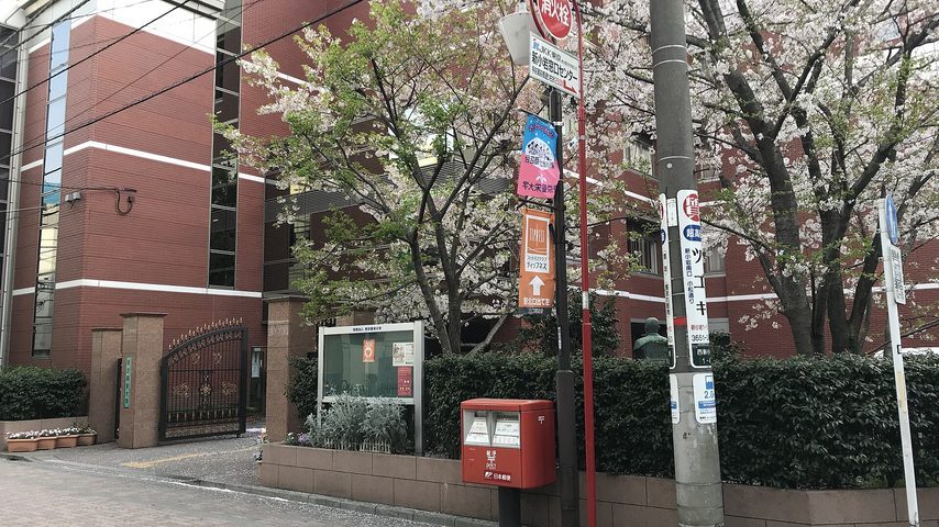 東京聖栄大学 school banner