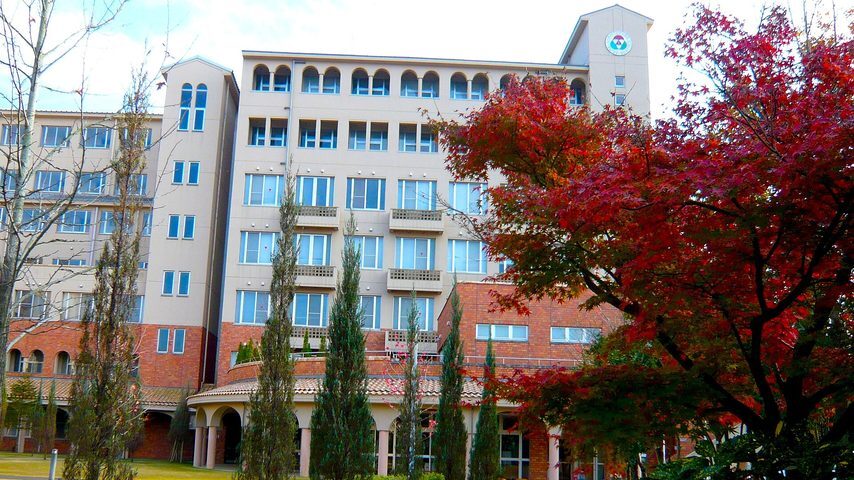 聖隷クリストファー大学 school banner