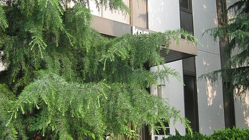 京都情報大学院大学 school banner