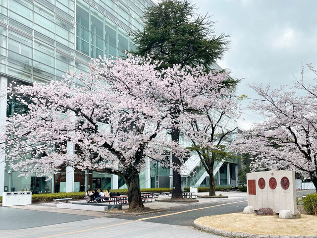 明治大学 school banner