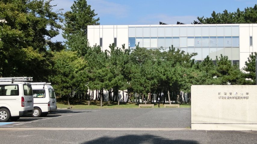 新潟青陵大学 school banner