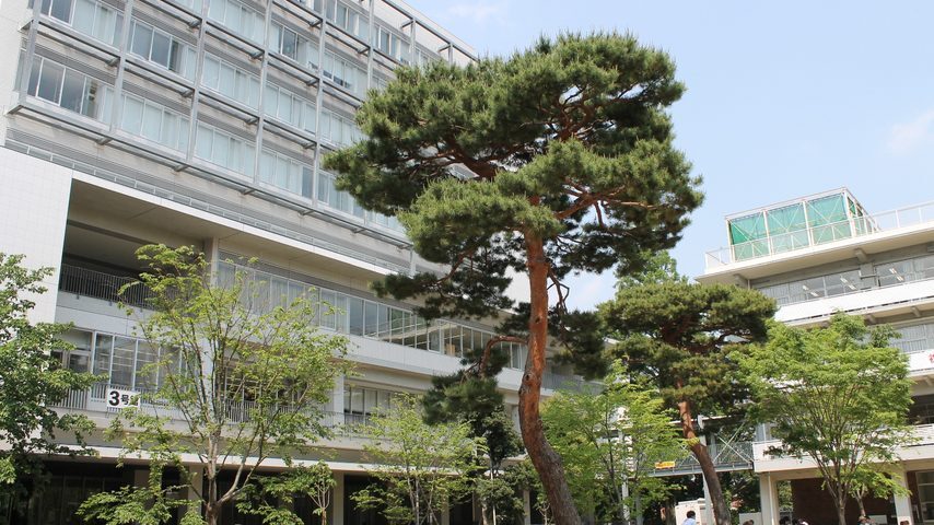 成城大学 school banner