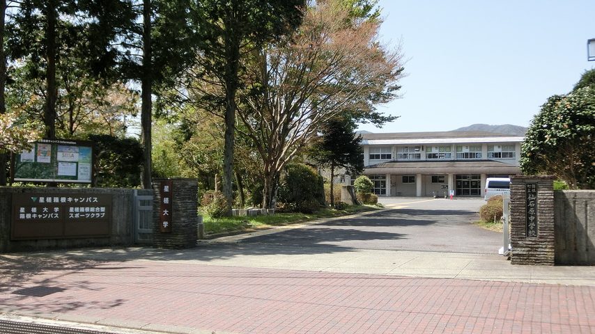 星槎大学 school banner