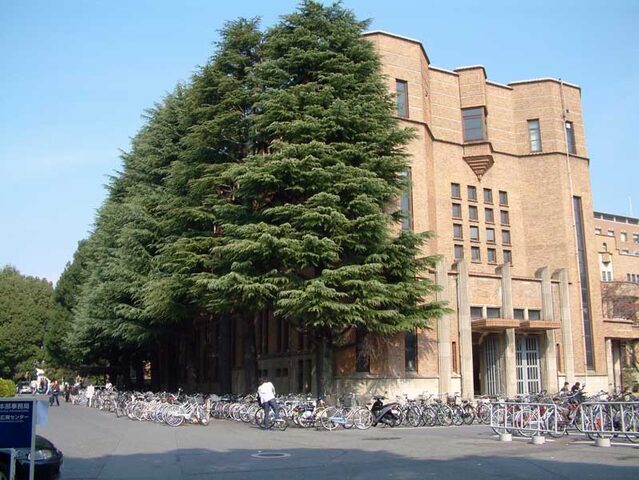京都大学 school banner