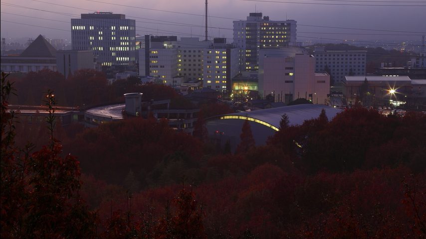 藤田医科大学 school banner
