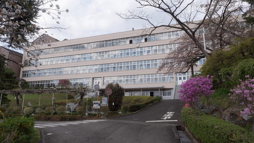 東京純心大学 school banner