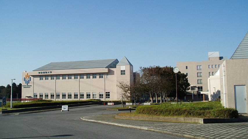 東京成徳大学 school banner
