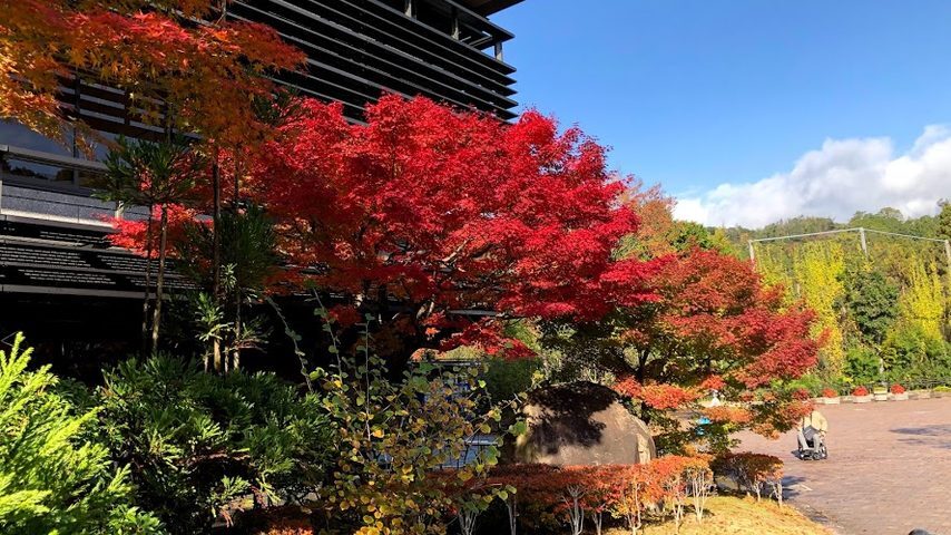 京都産業大学 school banner